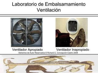  Antes de que el A/A fuese universalmente disponible, la esquina noreste del primer piso era considerado el más apropiado por su localización dada la uniformidad de la iluminación diurna  Derechos de Autor Reservados © Richard C. Concepción Castro 2008