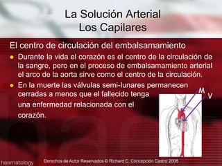 El centro de circulación del embalsamamientoDurante la vida el corazón es el centro de la circulación de la sangre, pero en el proceso de embalsamamiento arterial el arco de la aorta sirve como el centro de la circulación.En la muerte las válvulas semi-	lunares permanecen cerradas a menos que el fallecido tenga 	una enfermedad relacionada con el 	corazón.La Solución ArterialLos Capilares MVDerechos de Autor Reservados © Richard C. Concepción Castro 2008