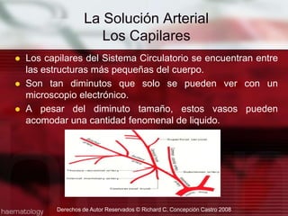 Los capilares del Sistema Circulatorio se encuentran entre las estructuras más pequeñas del cuerpo.Son tan diminutos que solo se pueden ver con un microscopio electrónico.A pesar del diminuto tamaño, estos vasos pueden acomodar una cantidad fenomenal de liquido.Derechos de Autor Reservados © Richard C. Concepción Castro 2008La Solución ArterialLos Capilares 