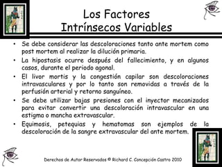Los Factores Intrínsecos Variables Se debe considerar las descoloraciones tanto ante mortem como post mortem al realizar la dilución primaria.La hipostasis ocurre después del fallecimiento, y en algunos casos, durante el periodo agonal.El livor mortis y la congestión capilar son descoloraciones intravasculares y por lo tanto son removidas a través de la perfusión arterial y retorno sanguíneo.Se debe utilizar bajas presiones con el inyector mecanizados para evitar convertir una descoloración intravascular en una estigma o mancha extravascular.Equimosis, petequias y hematomas son ejemplos de la descoloración de la sangre extravascular del ante mortem.Derechos de Autor Reservados © Richard C. Concepción Castro 2010