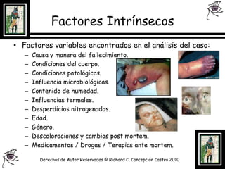 Factores IntrínsecosFactores variables encontrados en el análisis del caso:Causa y manera del fallecimiento.Condiciones del cuerpo.Condiciones patológicas.Influencia microbiológicas.Contenido de humedad.Influencias termales.Desperdicios nitrogenados.Edad.Género.Descoloraciones y cambios post mortem.Medicamentos / Drogas / Terapias ante mortem.Derechos de Autor Reservados © Richard C. Concepción Castro 2010