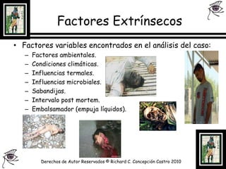 Factores ExtrínsecosFactores variables encontrados en el análisis del caso:Factores ambientales.Condiciones climáticas.Influencias termales.Influencias microbiales.Sabandijas.Intervalo post mortem.Embalsamador (empuja líquidos).Derechos de Autor Reservados © Richard C. Concepción Castro 2010
