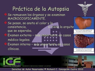 Práctica de la AutopsiaSe remueven los órganos y se examinan MACROCOSPICAMENTE.Se pesan, se anota el color y la consistencia,                       si tiene la arquitectura que se esperaba.Examen externo – más importante en casos     médico-legales.Examen interno – más importante en casos     clínicos.