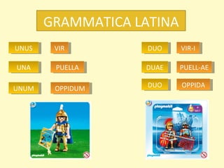 GRAMMATICA LATINA VIR VIR-I PUELLA PUELL-AE UNUS DUO UNA UNUM DUAE DUO OPPIDUM OPPIDA 