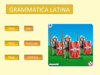 GRAMMATICA LATINA VIRI PUELLAE TRES TRES TRIA OPPIDA 