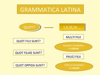 QUOT? I,II,III,IV… GRAMMATICA LATINA QUOT FILII SUNT? QUOT FILIAE SUNT? QUOT OPPIDA SUNT? MULTI FILII PAUCI FILII MAGNUS NUMERUS FILI ORUM PARVUS NUMERUS FILI ORUM 