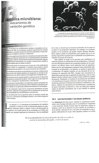 Capitutlo 13. genetica bacteriana. prescott 7 edición.