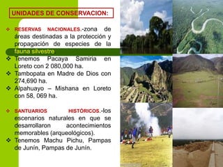 UNIDADES DE CONSERVACION:
 RESERVAS NACIONALES.-zona de
áreas destinadas a la protección y
propagación de especies de la
fauna silvestre.
 Tenemos Pacaya Samiria en
Loreto con 2 080,000 ha.
 Tambopata en Madre de Dios con
274,690 ha.
 Alpahuayo – Mishana en Loreto
con 58, 069 ha.
 SANTUARIOS HISTÓRICOS.-los
escenarios naturales en que se
desarrollaron acontecimientos
memorables (arqueológicos).
 Tenemos Machu Pichu, Pampas
de Junín, Pampas de Junín.
 
