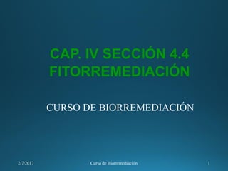 CAP. IV SECCIÓN 4.4
FITORREMEDIACIÓN
2/7/2017 Curso de Biorremediación 1
CURSO DE BIORREMEDIACIÓN
 
