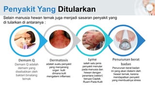 Penyakit Yang Ditularkan
Demam Q
Demam Q adalah
demam yang
disebabkan oleh
bakteri binatang
ternak
Dermatosis
adalah suatu penyakit
yang menyerang
organ kulit
dimana kulit
mengalami inflamasi.
Lyme
salah satu jenis
penyakit menular
pada manusia dan
hewan dengan
perantara (vektor)
berupa Caplak.
Ruam Pada Kulit
Penurunan berat
badan
Penurunan berat badan
ini yang akan dialami oleh
hewan ternak, karena
mendapatkan penyakit
yang membuatnya stress
Selain manusia hewan ternak juga menjadi sasaran penyakit yang
di tularkan di antaranya :
 