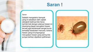 Saran !
Setelah mengetahui dampak
yang di sebabkan oleh caplak
alangkah baiknya kita harus
berhati-hati dengan adanya hewan ini
disamping dapat merugikan hewan
ternak juga berdampak sangat buruk
terhadap kesehatan manusia, karena
hewan yang di tumpanginya
merupakan hewan yang sering kita
jumpai bahkan dijadikan peliharaan
Saran
 