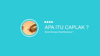 APA ITU CAPLAK ?
Serta Berapa Klasifikasinya ?
 