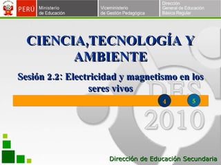 Dirección de Educación Secundaria CIENCIA,TECNOLOGÍA Y AMBIENTE 4 5 Sesión 2.2: Electricidad y magnetismo en los seres vivos 