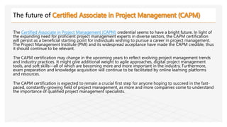 CAPM PPT | PPTX