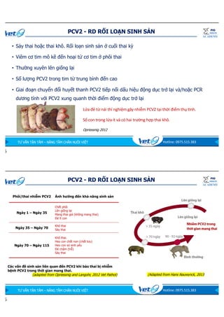 Cap nhat ve PCV2.pdf