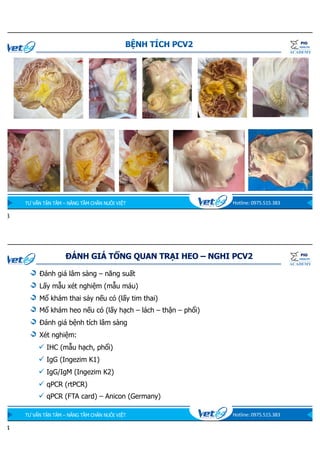 Cap nhat ve PCV2.pdf