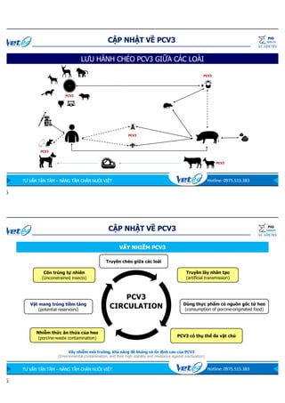 Cap nhat ve PCV2.pdf