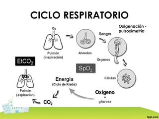 CICLO RESPIRATORIO
                Oxigenación -
                pulsoximetría
 