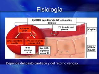 Fisiología
Depende del gasto cardiaco y del retorno venoso
Sale HCO3
-
al plasma
y entra Cl-
Capilar
Célula
tisular
7% disuelto en el
plasma
70% es convertido
a iones HCO3
-
23% se combina
con Hb
93% entra
al GR
Del CO2 que difunde del tejido a las
células
AC
AC
H+
se
combina
con Hb
 