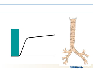  Phase I - Airway Gas 
 