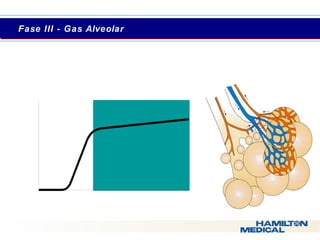  Fase IIIIII -- GGaass AAllvveeoollaarr 
 