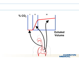  Waveform Phases 
% CO2 
Exhaled 
Volume 
 