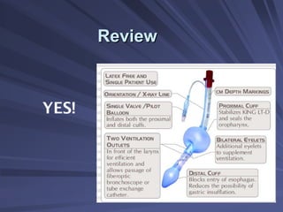 Review
Review
YES!
 