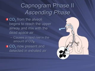 Capnogram Phase II
Capnogram Phase II
Ascending Phase
Ascending Phase
CO
CO2
2 from the alveoli
from the alveoli
begins to reach the upper
begins to reach the upper
airway and mix with the
airway and mix with the
dead space air
dead space air
–
– Causes a rapid rise in the
Causes a rapid rise in the
amount of CO
amount of CO2
2
CO
CO2
2 now present and
now present and
detected in exhaled air
detected in exhaled air
Alveoli
 