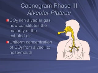 Capnogram Phase III
Capnogram Phase III
Alveolar Plateau
Alveolar Plateau
CO
CO2
2 rich alveolar gas
rich alveolar gas
now constitutes the
now constitutes the
majority of the
majority of the
exhaled air
exhaled air
Uniform concentration
Uniform concentration
of CO
of CO2
2 from alveoli to
from alveoli to
nose/mouth
nose/mouth
 