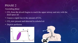 PHASE 2
Ascending phase
• CO2 from the alveoli begins to reach the upper airway and mix with the
dead space air
• Causes a...
