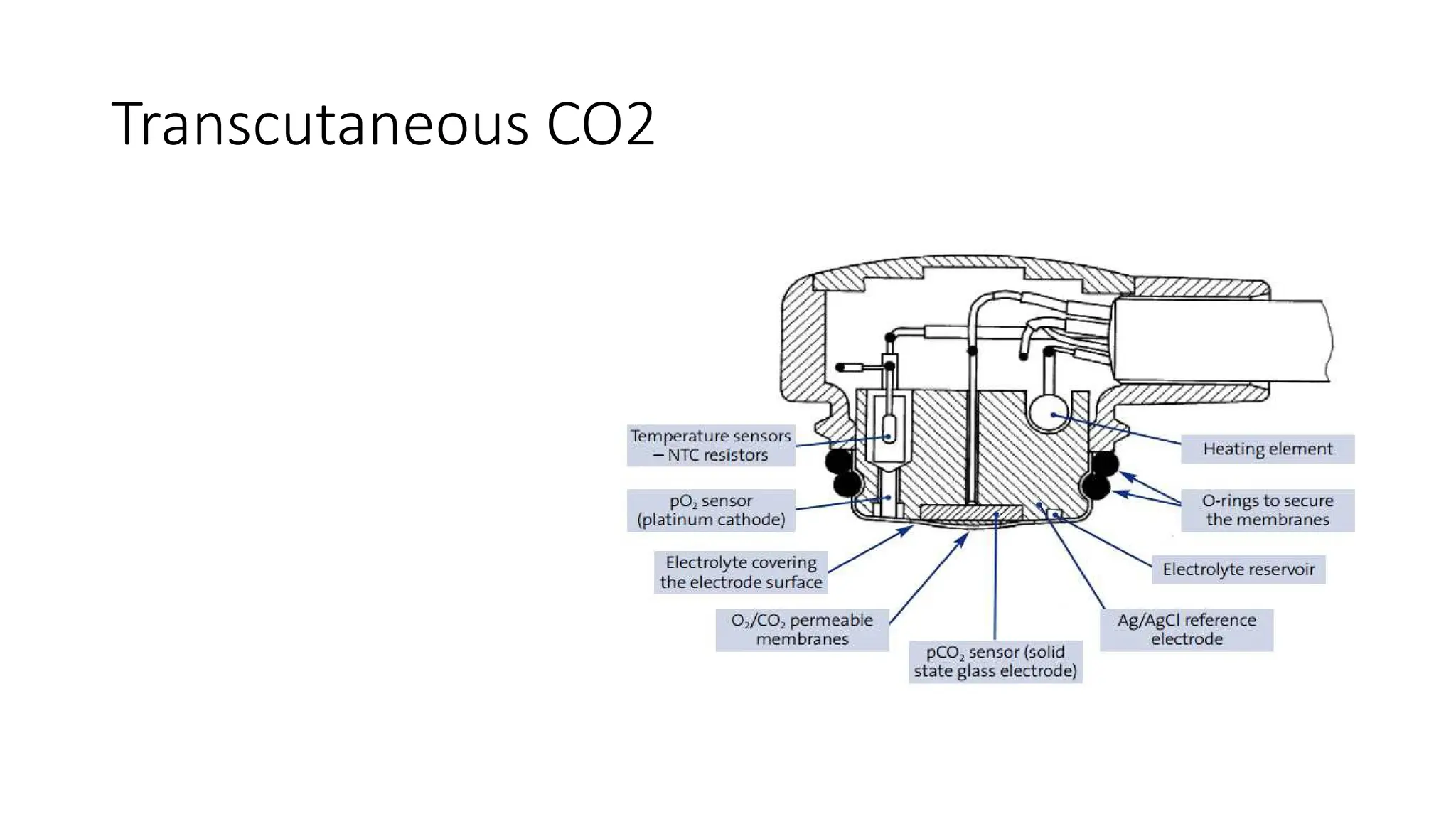 Transcutaneous CO2
 