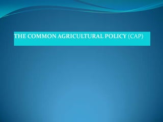 THE COMMON AGRICULTURAL POLICY (CAP) 