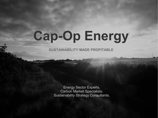 Cap-Op Energy
​SUSTAINABILITY MADE PROFITABLE​
​Energy Sector Experts.
Carbon Market Specialists.
​Sustainability Strategy Consultants.
 