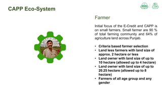 CAPP Eco-System
Farmer
Initial focus of the E-Credit and CAPP is
on small farmers. Small farmer are 90 %
of total farming community and 64% of
agriculture land across Punjab.
• Criteria based farmer selection
• Land less farmers with land size of
approx. 2 hectare or less
• Land owner with land size of up to
10 hectare (allowed up to 4 hectare)
• Land owner with land size of up to
20.25 hectare (allowed up to 8
hectare)
• Farmers of all age group and any
gender
 