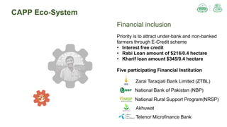 CAPP Eco-System
Financial inclusion
Priority is to attract under-bank and non-banked
farmers through E-Credit scheme
• Interest free credit
• Rabi Loan amount of $216/0.4 hectare
• Kharif loan amount $345/0.4 hectare
Five participating Financial Institution
National Bank of Pakistan (NBP)
Zarai Taraqiati Bank Limited (ZTBL)
Telenor Microfinance Bank
National Rural Support Program(NRSP)
Akhuwat
 