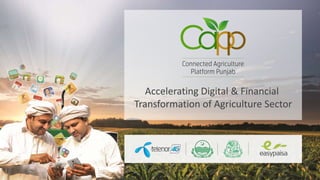 Accelerating Digital & Financial
Transformation of Agriculture Sector
 