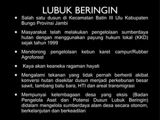 LUBUK BERINGIN Salah satu dusun di Kecamatan Batin III Ulu Kabupaten Bungo Provinsi Jambi Masyarakat telah melakukan pengelolaan sumberdaya hutan dengan menggunakan payung hukum lokal (KKD) sejak tahun 1999 Mendorong pengelolaan kebun karet campur/Rubber Agroforest Kaya akan keaneka ragaman hayati Mengalami tekanan yang tidak pernah berhenti akibat konversi hutan disekitar dusun menjadi perkebunan besar sawit, tambang batu bara, HTI dan areal transmigrasi Mempunyai kelembagaan desa yang eksis (Badan Pengelola Aset dan Potensi Dusun Lubuk Beringin) didalam mengelola sumberdaya alam desa secara otonom, berkelanjutan dan berkeadilan  