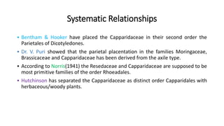 Systematic Relationships
 Bentham & Hooker have placed the Capparidaceae in their second order the
Parietales of Dicotyledones.
 Dr. V. Puri showed that the parietal placentation in the families Moringaceae,
Brassicaceae and Capparidaceae has been derived from the axile type.
 According to Norris(1941) the Resedaceae and Capparidaceae are supposed to be
most primitive families of the order Rhoeadales.
 Hutchinson has separated the Capparidaceae as distinct order Capparidales with
herbaceous/woody plants.
 