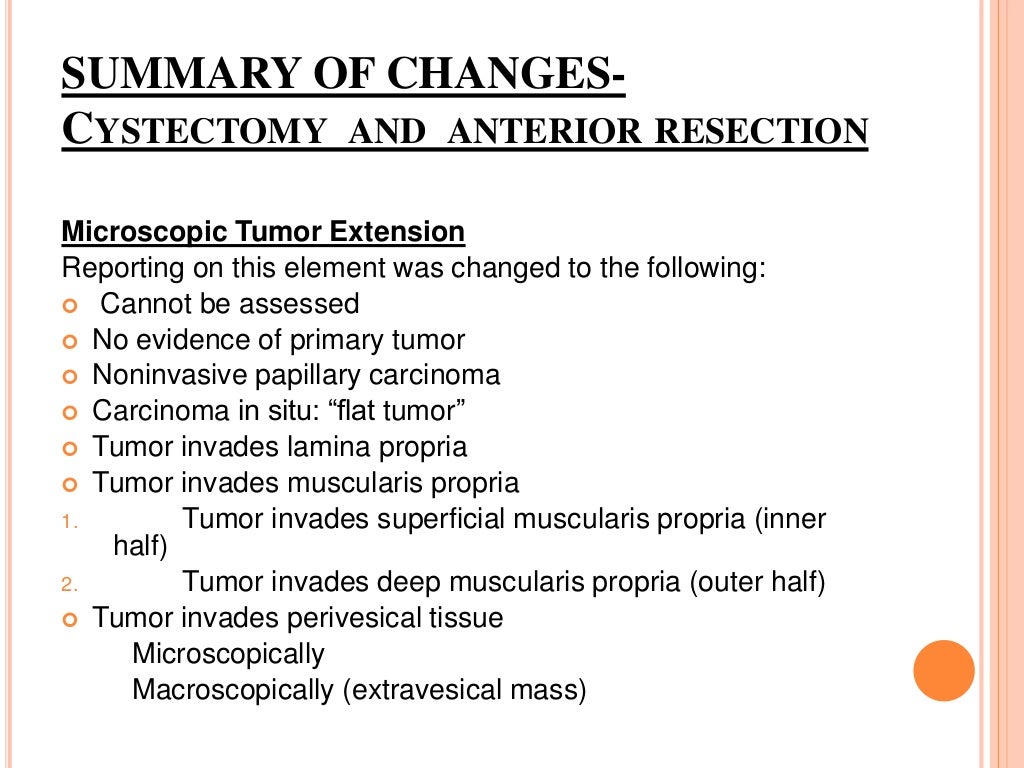 Cap protocol bladder