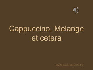 Cappuccino, Melange 
et cetera 
Fotografie: Elisabeth Hauberger Wien 2013 
 