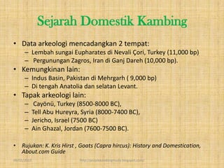 Sejarah Domestik Kambing
• Data arkeologi mencadangkan 2 tempat:
      – Lembah sungai Eupharates di Nevali Çori, Turkey (11,000 bp)
      – Pergunungan Zagros, Iran di Ganj Dareh (10,000 bp).
• Kemungkinan lain:
      – Indus Basin, Pakistan di Mehrgarh ( 9,000 bp)
      – Di tengah Anatolia dan selatan Levant.
• Tapak arkeologi lain:
      –       Cayönü, Turkey (8500-8000 BC),
      –      Tell Abu Hureyra, Syria (8000-7400 BC),
      –      Jericho, Israel (7500 BC)
      –      Ain Ghazal, Jordan (7600-7500 BC).

• Rujukan: K. Kris Hirst , Goats (Capra hircus): History and Domestication,
  About.com Guide
09/02/2013                    http://projekkambingmuda.blogspot.com/
 