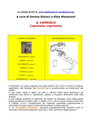 Le schede di M.C.P. www.matteocervo.wordpress.com

        A cura di Serena Storaci e Elisa Masseroni

                              IL CAPRIOLO
                           Capreolus capreolus



         CAPRIOLO EUROPEO                     DISTRIBUZIONE IN ITALIA




          SUPERORDINE: Ungulati

            ORDINE: Artiodattili

          SOTTORDINE: Ruminanti

             FAMIGLIA: Cervidi

            GENERE: Capreolus

            SPECIE: C. capreolus

        SOTTOSPECIE: C. c. capreolus



Il Capriolo è un tipico ungulato dei nostri boschi che, come il Cervo e il Daino,
appartiene alla famiglia dei Cervidi ma è caratterizzato da dimensioni più
ridotte.
Il suo corpo snello e agile, più alto e robusto nella parte posteriore, gli
conferisce una forma a “spiovente” adatta a muoversi abilmente nella fitta
foresta.
Il suo habitat preferito è costituito da boschi di latifoglie, tipici delle basse
quote (preferisce restare sotto i 1.200m s.l.m., ma lo si può trovare anche fino
a 2.000m s.l.m.), caratterizzati da notevole variabilità vegetazionale e
intervallati da spazi aperti contornati da arbusti e piante giovani.
E’ un “brucatore selettivo”: consuma prevalentemente alimenti ricchi di
nutrienti e facilmente digeribili come fiori, frutti, gemme e foglie giovani.
 