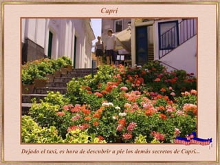 Capri Dejado el taxi, es hora de descubrir a pie los demás secretos de Capri... www. laboutiquedelpowerpoint. com 