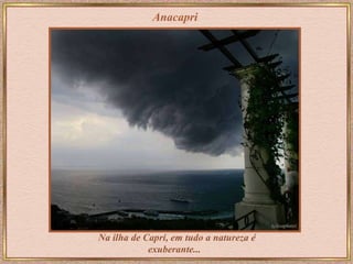 Anacapri Na ilha de Capri, em tudo a natureza é exuberante...   