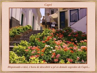 Capri Dispensado o táxi, é hora de descobrir a pé os demais segredos de Capri... 
