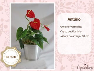 • Antúrio Vermelho;
• Vaso de Alumínio;
• Altura do arranjo: 30 cm
R$ 35,00
 
