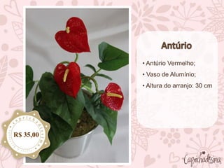 • Antúrio Vermelho;
• Vaso de Alumínio;
• Altura do arranjo: 30 cm
R$ 35,00
 