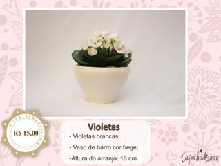 • Violetas brancas;
• Vaso de barro cor bege;
•Altura do arranjo: 18 cm
R$ 15,00
 