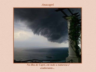 Anacapri
Na ilha de Capri, em tudo a natureza é
exuberante...
 