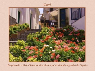 Capri
Dispensado o táxi, é hora de descobrir a pé os demais segredos de Capri...
 